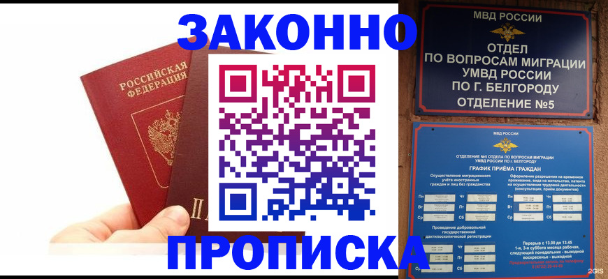 временная регистрация для школы в Могочи